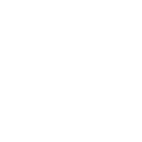 Powiat Toruński